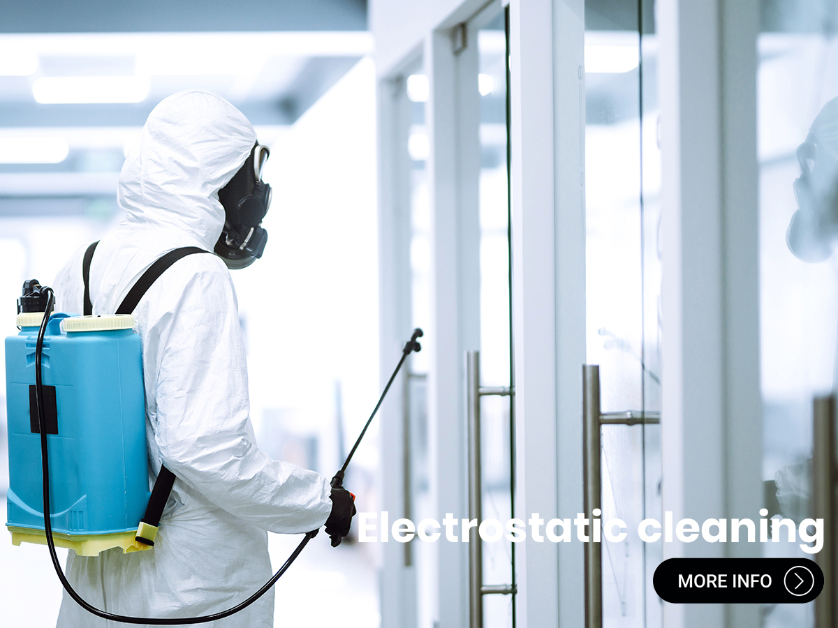 Electrostatic cleaning